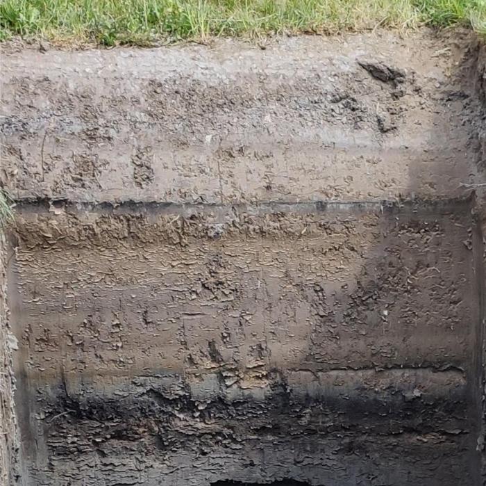 Profil glebowy mady.