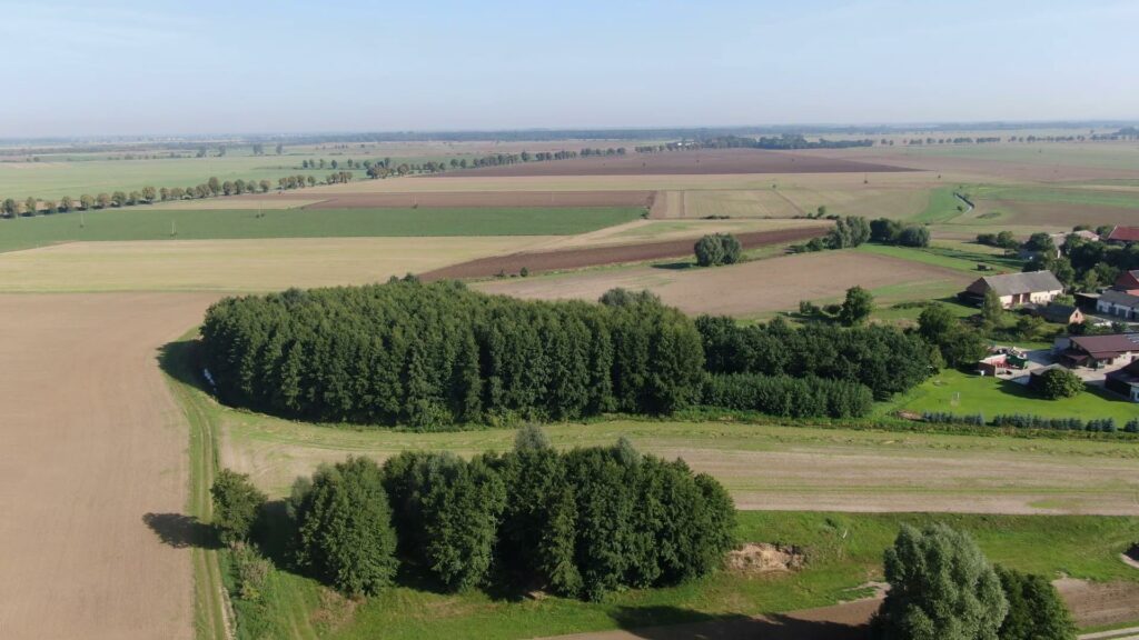 Krajobraz z lotu ptaka. Na pierwszym planie mały las. Dookoła pola uprawne. Z prawej widoczna zabudowa siedliskowa. W oddali widać drogę porośniętą drzewami. U góry jasno błękitne niebo.