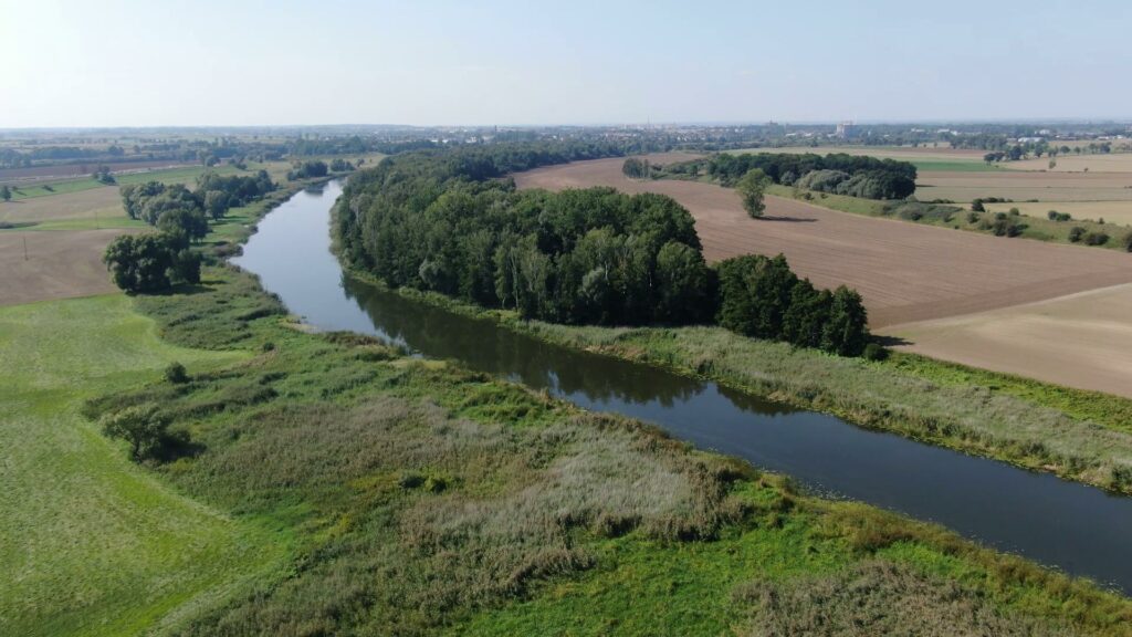Krajobraz z lotu ptaka. Na pierwszym planie zielone łąki. Środkiem przepływa rzeka Nogat a za nią. Brzeg rzeki porasta mały las a za nim są pola uprawne. Na horyzoncie widać miasto Malbork. U góry jasno błękitne niebo.