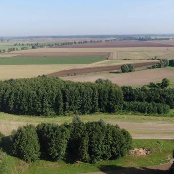 Zakończenie kolejnego etapu prac scaleniowych na obiekcie Królewo i Krasnołęka.